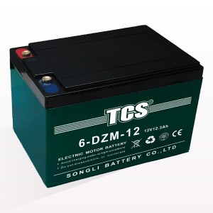 TCS綯6-DZM-12