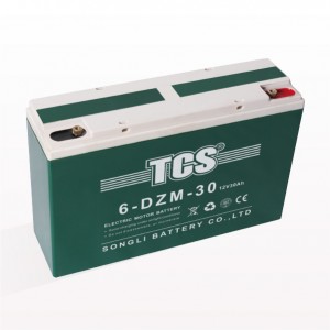 TCS綯6-DZM-30